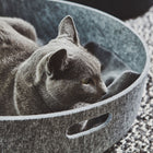 Cesto Cat Basket