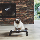 Desco Cat Feeder