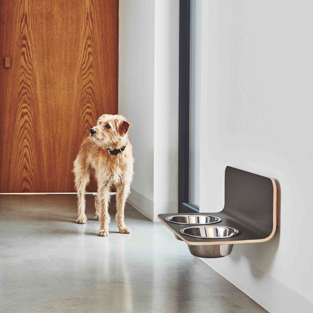 Arco Dog Feeder