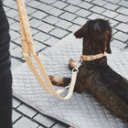 Bergamo Braided Long Dog Leash