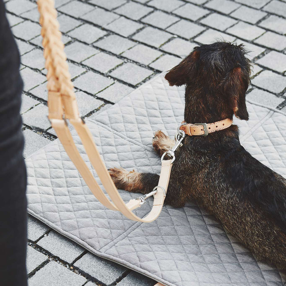 Bergamo Dog Collar Set