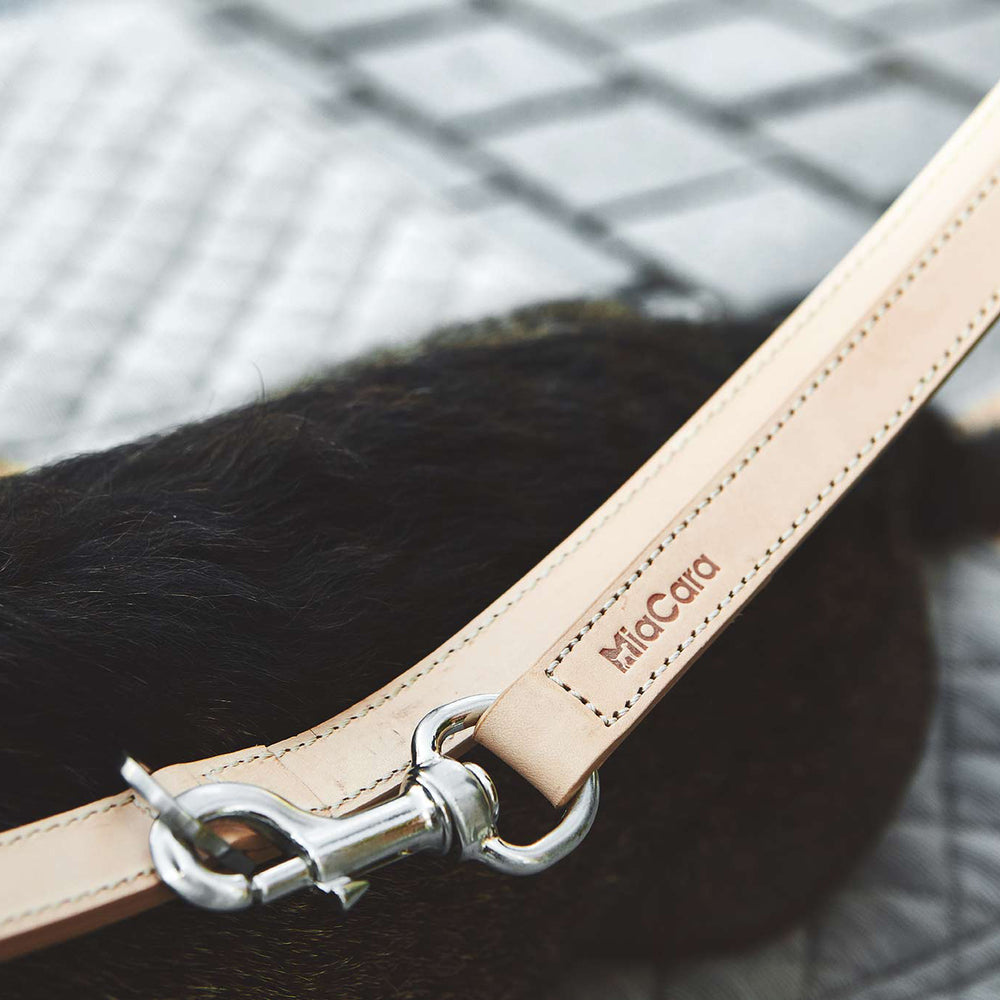 Bergamo Dog Collar Set