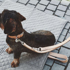Bergamo Long Dog Leash