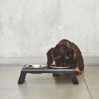 Desco Dog Feeder