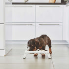 Desco Dog Feeder