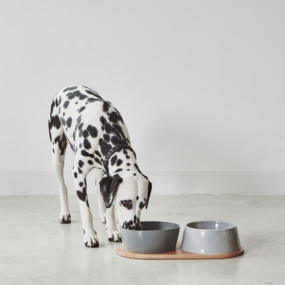 Doppio Dog Bowl Set