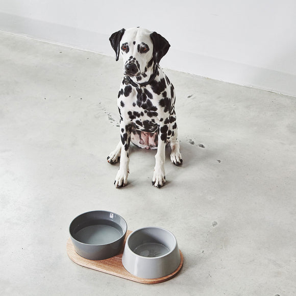 Doppio Dog Bowl Set