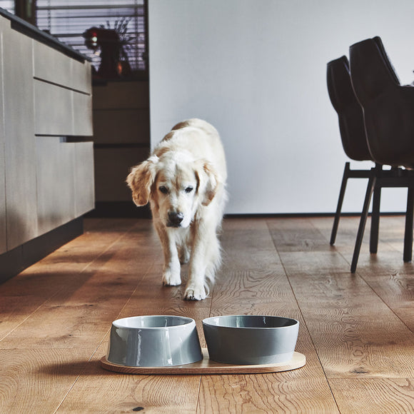 Doppio Dog Bowl Set