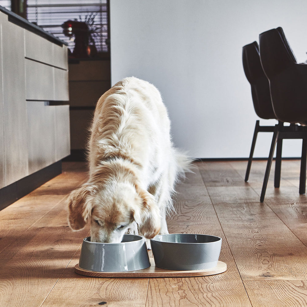 Doppio Dog Bowl Set