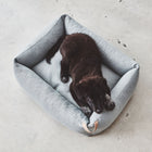 Sonno Box Dog Bed