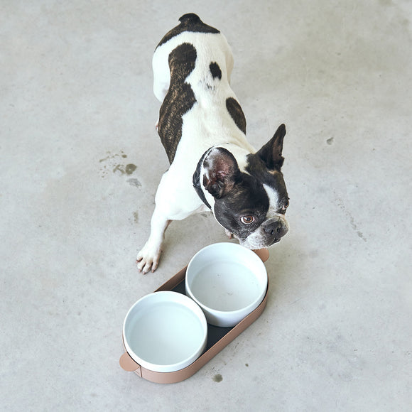 Tavoletta Dog Bowl Set