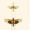 Entomology Wallpaper Sample Swatch  option Brown/Taupe Sample