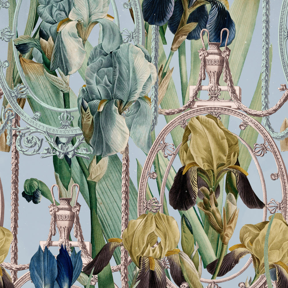 Fleurs D'Iris Wallpaper