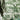 Grand Prix Toile Wallpaper
