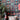 Mediterraneo Indigo Wallpaper