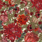 The Flowering Wallpaper  option Red/Green/White