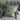The Manor Pillow