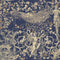 The Promise Land Flax Wallpaper Sample Swatch  option Sapphire Sample