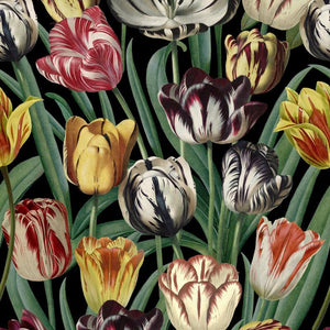 Tulipa Wallpaper Sample Swatch