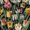 Tulipa Wallpaper Sample Swatch  option Vivid Sample