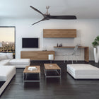 Aviation Ceiling Fan