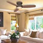 Traditional Concept Outdoor Ceiling Fan