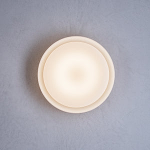 Mint Wall/Ceiling Light