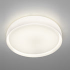 Mint Wall/Ceiling Light