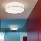 Mint Wall/Ceiling Light