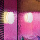 Mint Wall/Ceiling Light
