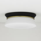 Cath Flush Mount