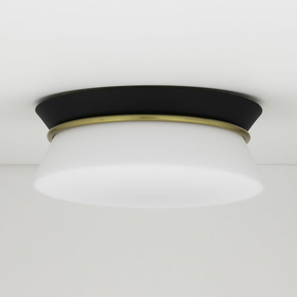 Cath Flush Mount
