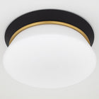Cath Flush Mount