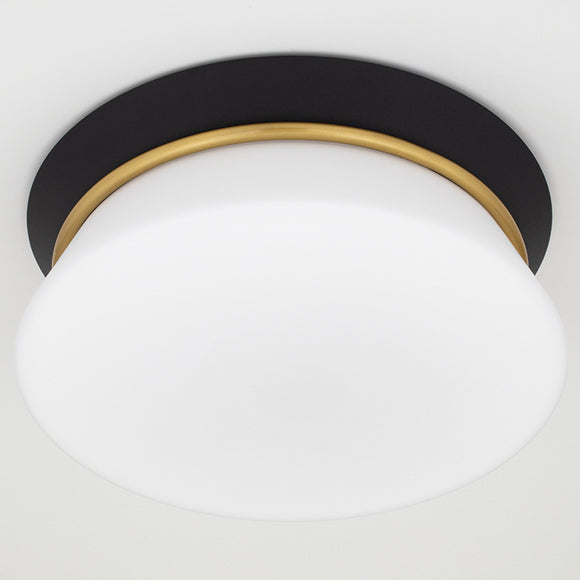 Cath Flush Mount