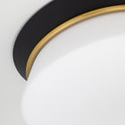 Cath Flush Mount