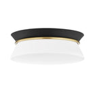 Cath Flush Mount