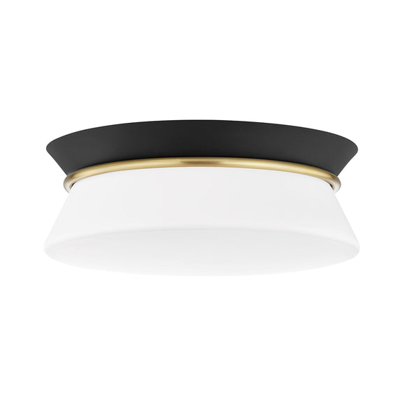 Cath Flush Mount