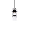 Balthus LED Outdoor Pendant Light  option Black
