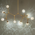 Catalyst LED Chandelier