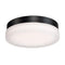 Circa Outdoor Wall / Ceiling Light  option Black
