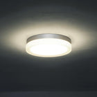 Circa Outdoor Wall / Ceiling Light