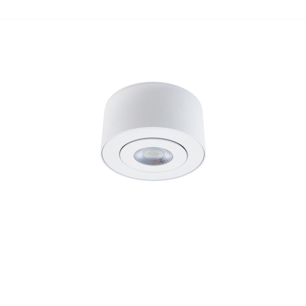 I Spy LED Outdoor Flush Mount