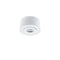 I Spy LED Outdoor Flush Mount  option White