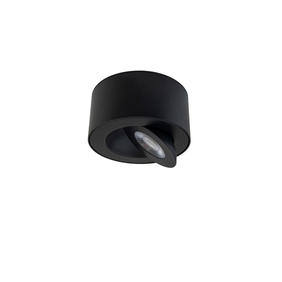 I Spy LED Outdoor Flush Mount