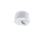 I Spy LED Outdoor Flush Mount