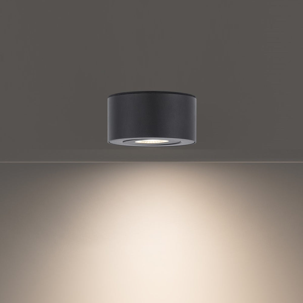 I Spy LED Outdoor Flush Mount
