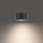 I Spy LED Outdoor Flush Mount