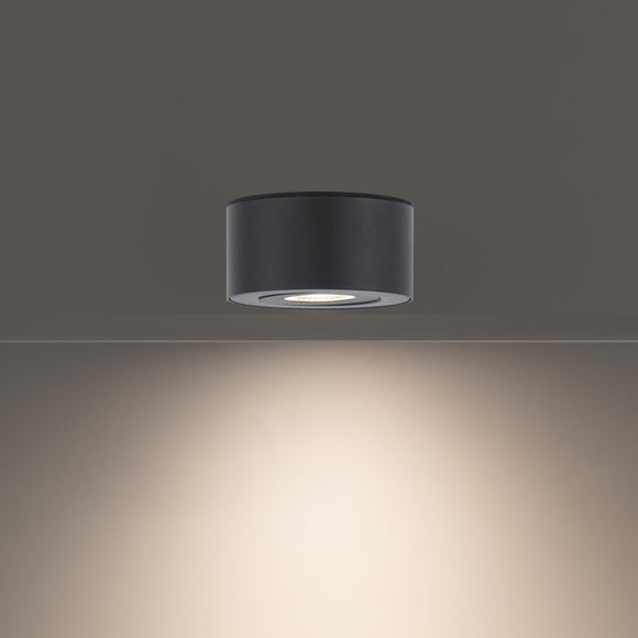 I Spy LED Outdoor Flush Mount