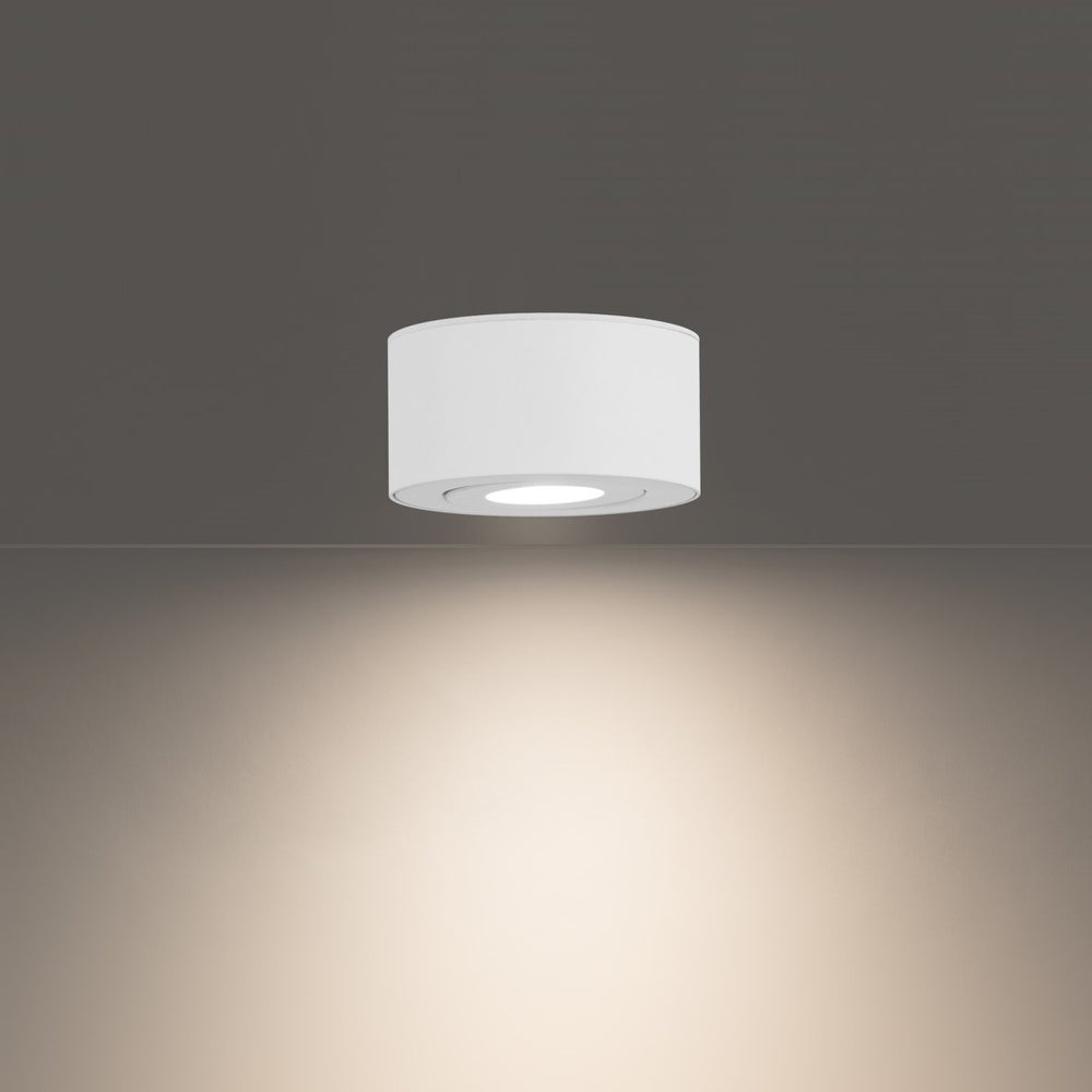 I Spy LED Outdoor Flush Mount