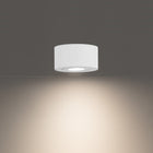 I Spy LED Outdoor Flush Mount